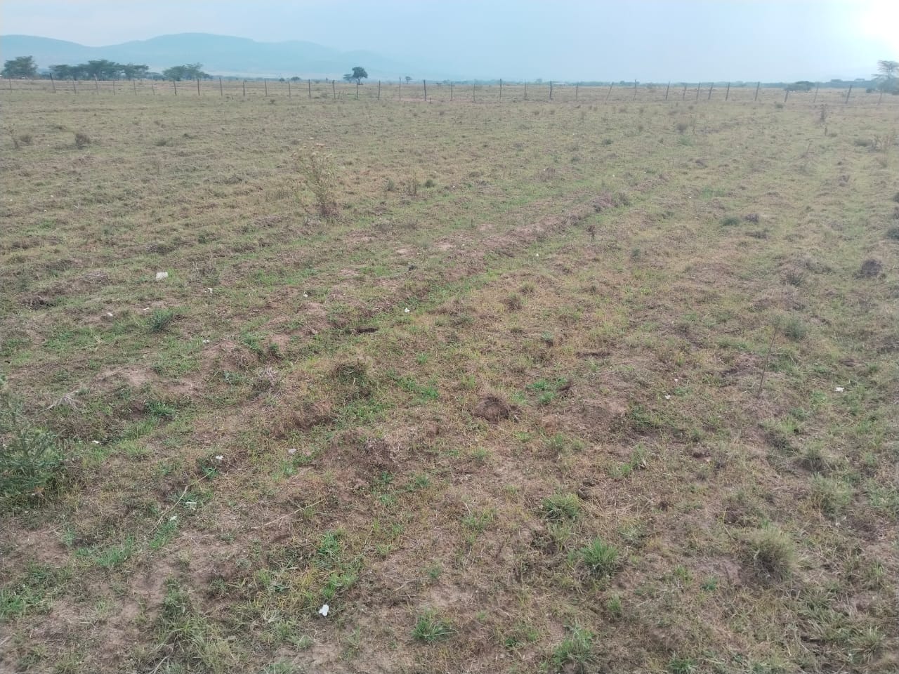 agricultural land for lease Nkorinkori Narok – 60 acres fenced farming